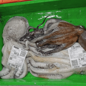 Pulpo Gallego